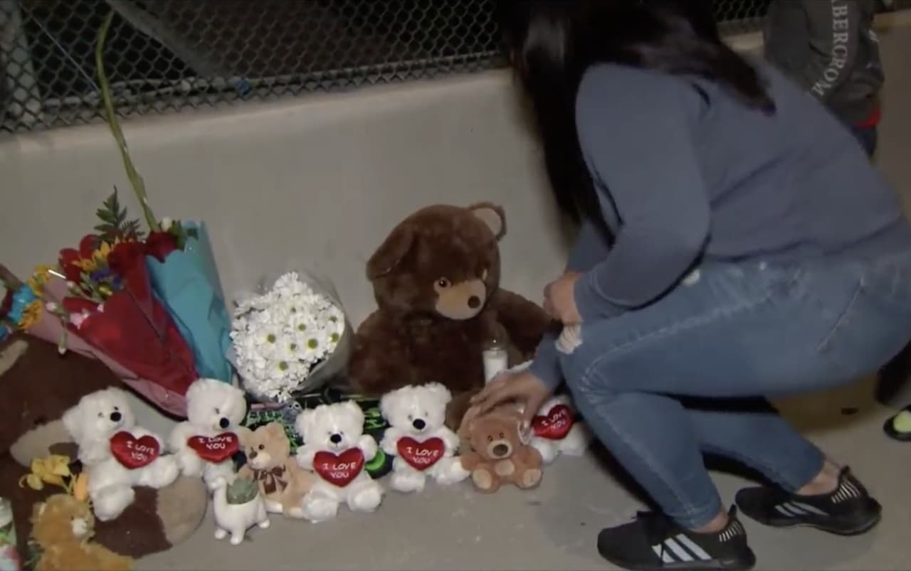 Varias personas han llegado hasta el puente que pasa sobre la autopista 55 cerca del lugar del incidente para poner flores, ositos y mensajes de consuelo para la familia.