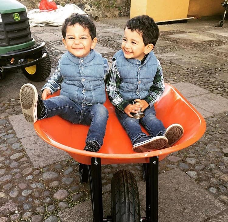 ¡Mira cuánto han crecido!