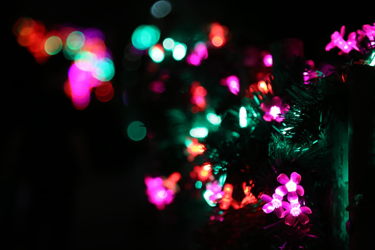 Así se ven de cerca los pequeños focos del alumbrado navideño.