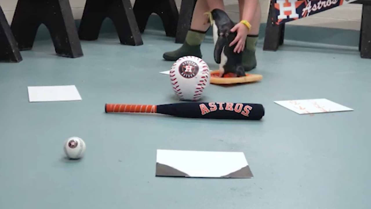 Es que los Astros de Houston serán los ganadores de la Serie Mundial este año.