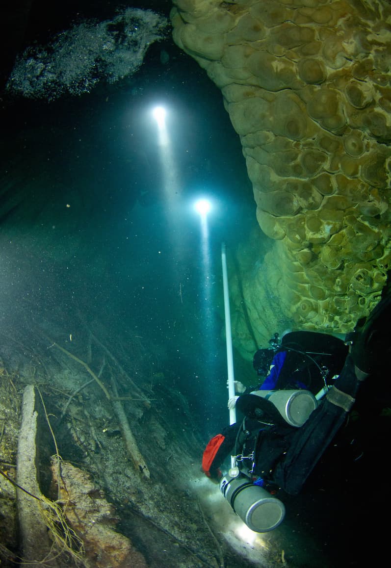Naia tenía entre 15 y 17 años, medía poco más de metro y medio, pesaba 50 kilos, era muy activa y en su dieta no había muchas proteínas, explicó James C. Chatters, codirector del proyecto.
