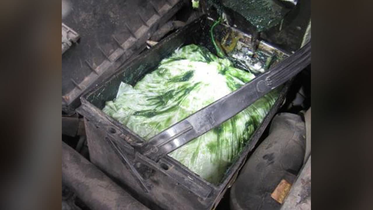 Asimismo, en marzo de 2019, encontraron dos libras de pastillas sospechosas de contener fentanilo dentro de la batería de una automóvil en el Puerto de San Luis en Arizona.