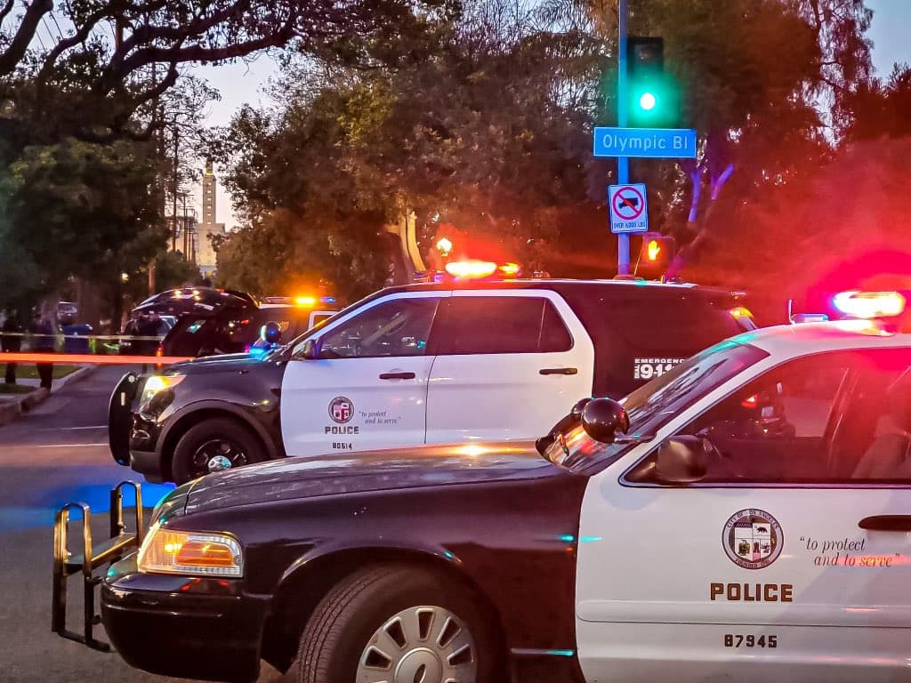 "Esta persona, que es un menor de edad, no será identificada,
<b>fue registrada como ausente debido a que fue hospitalizada por las lesiones sufridas durante esa colisión.</b> La reserva de ausencias es idéntica en consecuencia a ser arrestado físicamente y transportado a una cárcel y está reservado para su uso en circunstancias excepcionales como estas en las que la persona procesada no puede estar físicamente presente", escribió el LAPD de la división oeste en un
<a href="https://twitter.com/LAPDWestTraffic/status/1369788672116072451" target="_blank">comunicado</a>.