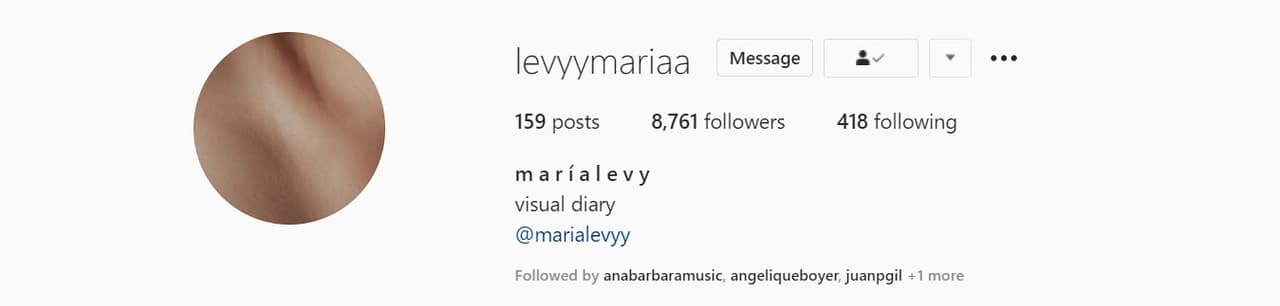 Y @levyymariaa, perfil que no está verificado y que define como un "diario visual", donde solo muestra su trabajo fotográfico.
<br>