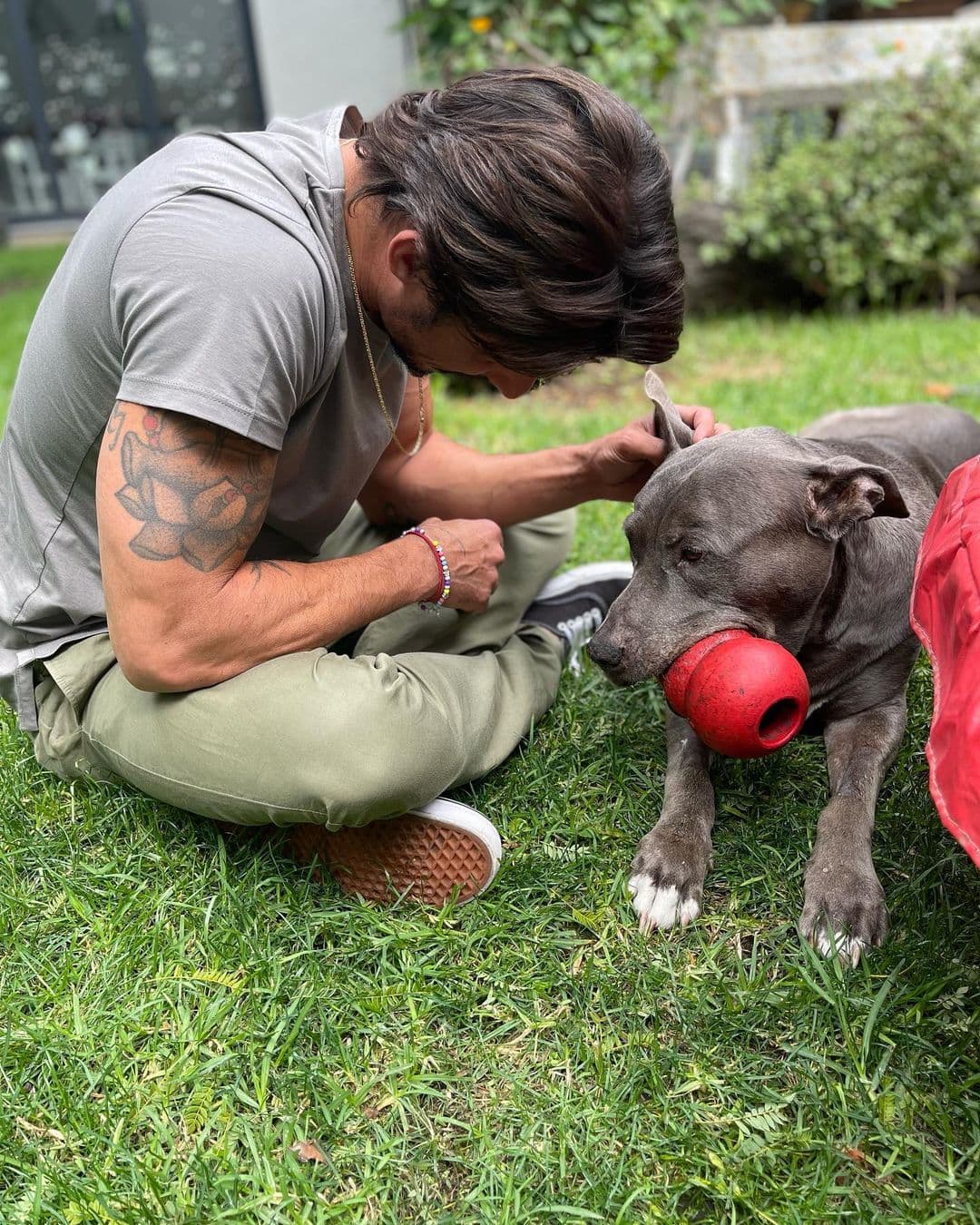En las imágenes también aparece su esposo, Alberto Guerra, jugando en el jardín con Perrou, quien vivió 13 años junto a él. "Empezamos con un colchón en medio de un departamento vacío y, de alguna forma, Perrou se encargó de dejarme con la vida hecha antes de irse", dijo el actor quien también lamentó su muerte.