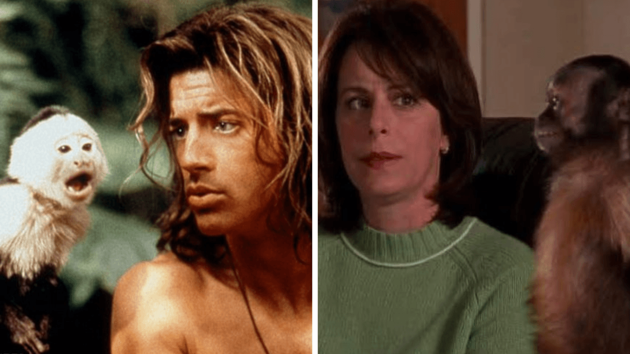 'Malcolm en el de en medio' y 'George de la selva'