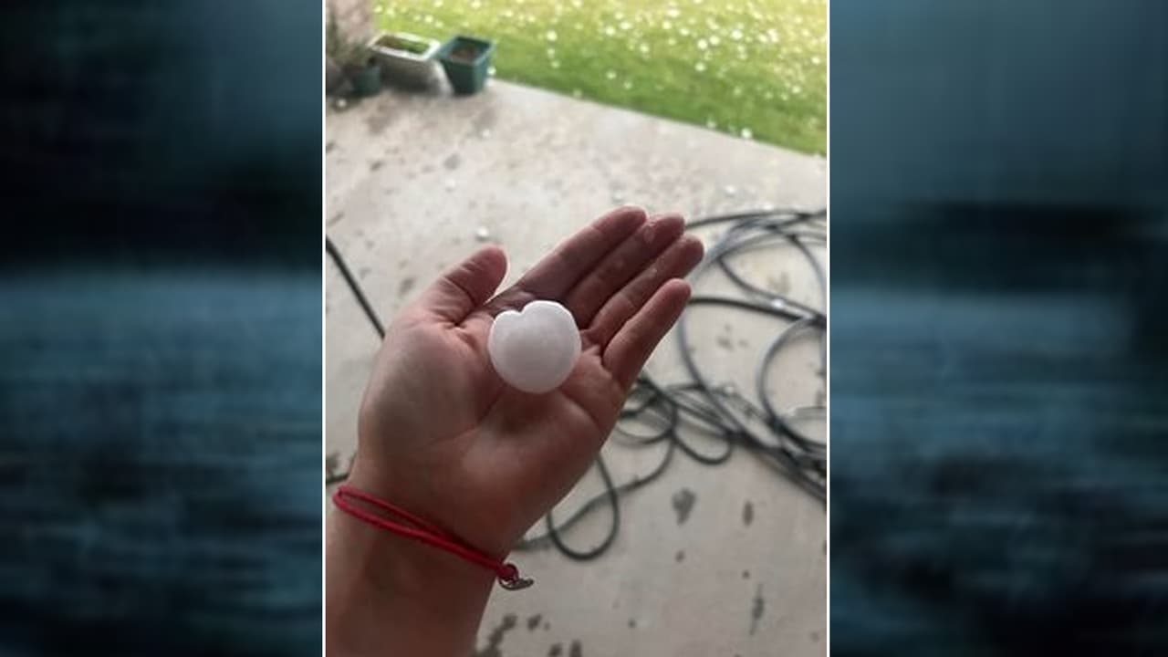 En la ciudad de Plano 
<b>se activaron las sirenas por el riesgo de granizo grande</b>, mientras que en Royse City se reportaba la caída de granizo,
<b> un poco más grande que una uva</b>. Así lo revela una fotografía compartida por Ana Sánchez a través de las redes sociales de Univision 23.