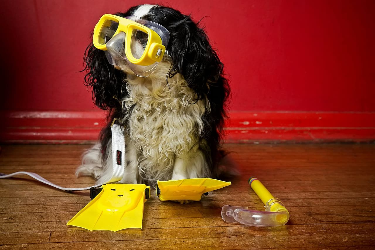 ¡Todos listos par el agua!