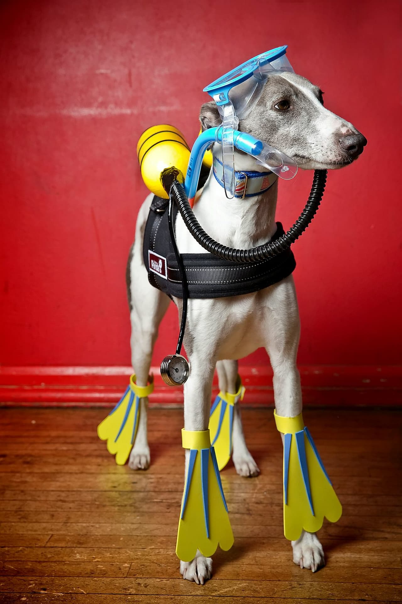 ¿Dónde queda el mar? Equipo perfecto para ir a bucear.