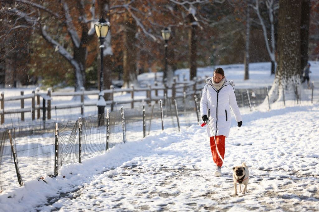 Sin embargo, para el martes, 24 de diciembre, 
<b><a href="https://forecast.weather.gov/MapClick.php?x=110&y=194&site=okx&zmx=&zmy=&map_x=110&map_y=193" target="_blank">el pronóstico del Servicio Nacional de Meteorología advierte un 50% de probabilidad</a></b> de nevada para la ciudad de Nueva York, 
<b>antes de la 1:00 de la tarde</b>.
<br>
<br>Después, anticipa 
<b>un aumento en la temperatura</b>, con una máxima cercana a los 40 grados Fahrenheit (5 Celsius).