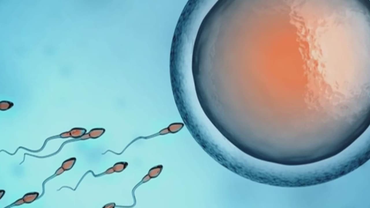 Conteo de espermas y niveles de testosterona se reducen en jóvenes, ¿qué sucede con los hombres?