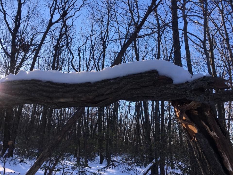 Los diversos paisajes inspiran un sinfín de experiencias que varían de privadas y tranquilas hasta audaces y emocionantes. Tambien... muy frías. No olvides tu abrigo, gorro, guantes, botas de nieve y protectores para las orejas.