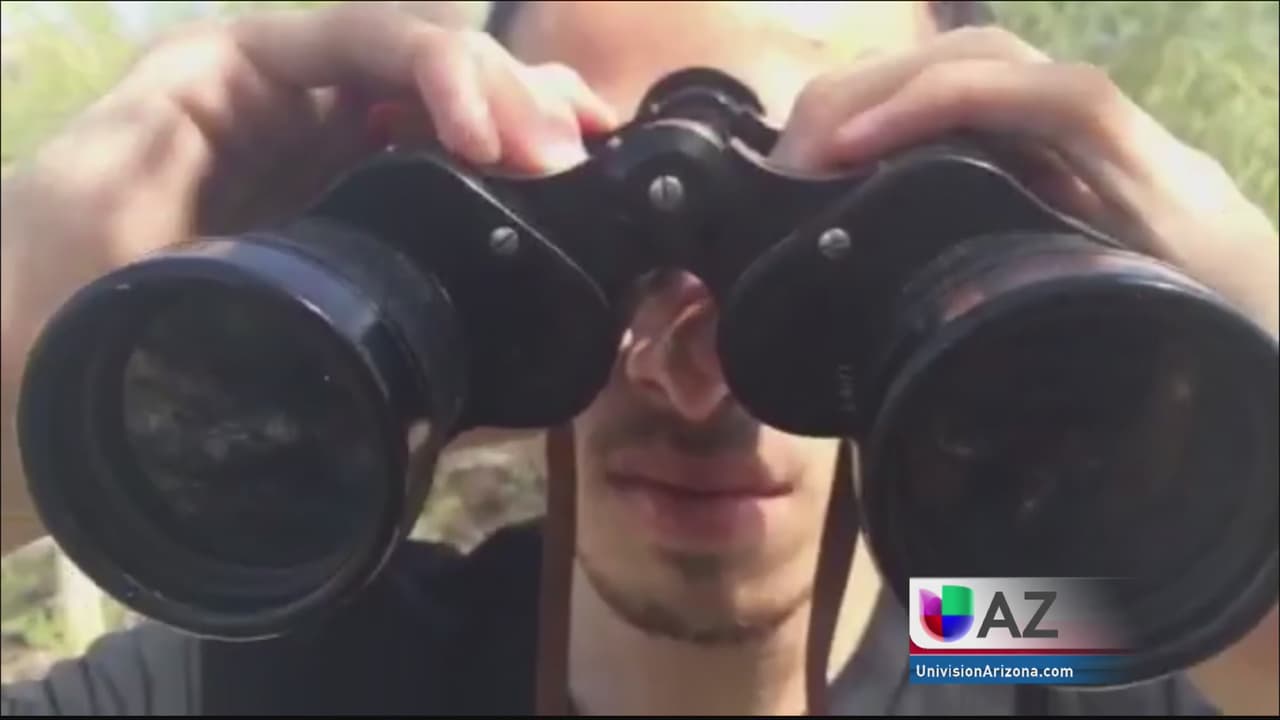 Reportaje Especial “Los ojos de los Carteles”