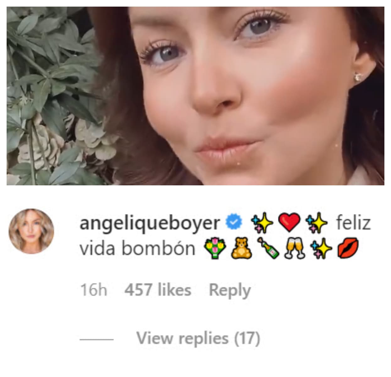 Entre quienes la felicitaron a la distancia, estuvo Angelique Boyer, quien la llamó "bombón". 
<br>