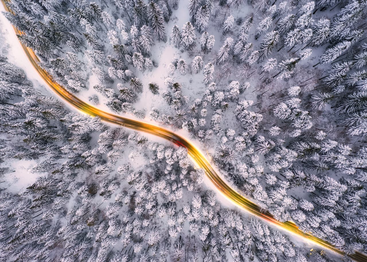 <b>‘Via diagonal’</b>. Fue la ganadora en la categoría ‘naturaleza desde la distancia’ y fue tomada en Pamporovo, Bulgaria. 
<a href="https://www.univision.com/noticias/medio-ambiente/el-insolito-abrazo-de-un-tigre-y-otras-imagenes-ganadoras-del-premio-fotografo-de-vida-salvaje-2020-fotos"><u>Vea aquí el insólito abrazo de un tigre y otras imágenes ganadoras del premio Fotógrafo de Vida Salvaje 2020</u></a>
<br>