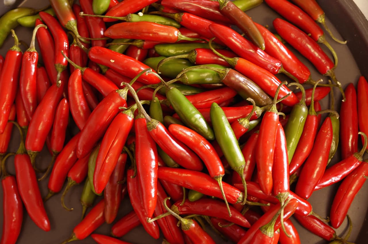 <b>Chiles.</b> Estados Unidos es el mayor importador de chile y pimientos en todo el mundo y México es su principal proveedor (68% de este producto proviene del país vecino del sur). El gasto de EEUU por este producto llegó a casi $1,000 millones en 2017.