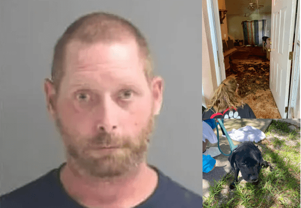 Hombre es acusado de varios cargos de crueldad animal; le encuentran varios perros muertos en su casa 