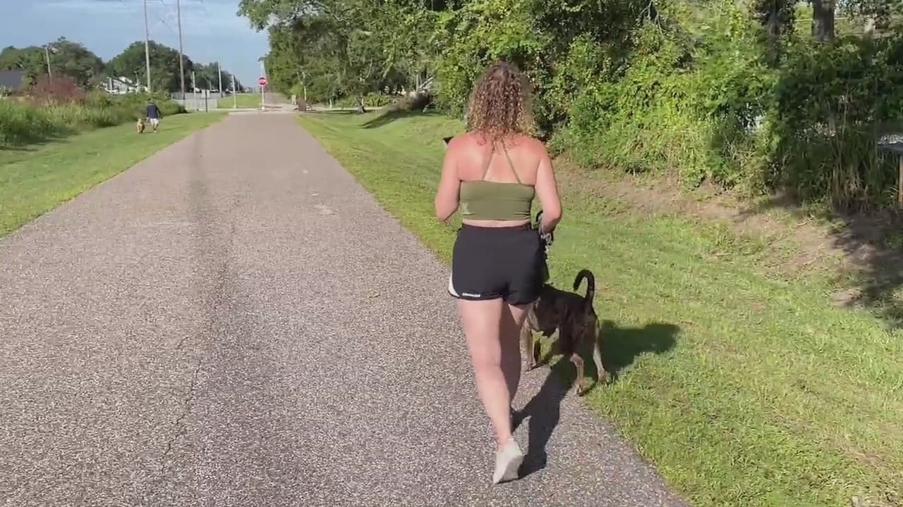 Continúa la búsqueda del sospechoso que atacó sexualmente a una mujer en un sendero en el condado Seminole