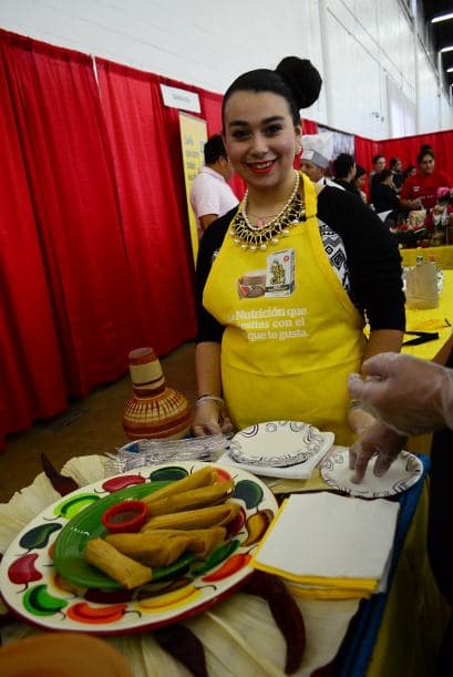 Festival Univision 2014