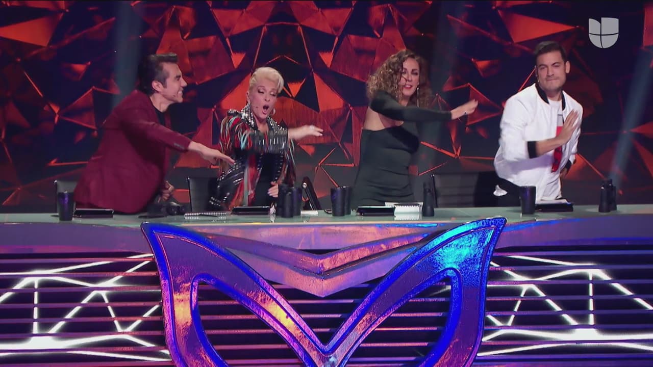 Maravillados por la enérgica actuación del equino de pelo azul, los investigadores se pararon del asiento e improvisaron unos pasos.