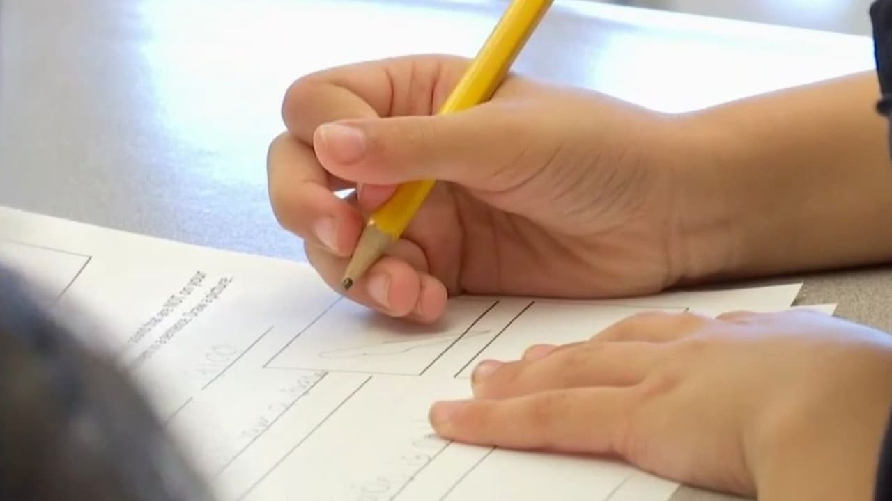 Reto Economía: Tu hijo podría tener una cuenta de inversión sin saberlo; esto debes conocer de las cuentas Trump