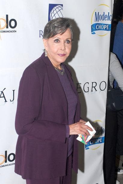 La actriz participó en otras producciones como 'Imperio de cristal', 'Amada enemiga', 'Laberintos de pasión', 'Salomé', '¡Vivan los niños!', 'Querida anemiga', entre muchas más. Falleció el 1 de marzo de 2018, meses después de la sorpresiva muerte de su hijo Claudio Reyes Rubio en un accidente.