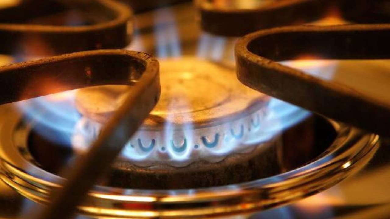 Finalmente
<br>- Gira los mangos de las ollas hacia la parte trasera de la estufa. Esto es para que nadie pueda golpearlos o tirarlos.
<br>- Utiliza una freidora de pavo únicamente al aire libre. Asegúrate de que la freidora esté sobre una superficie resistente, alejada de objetos que puedan quemarse.
<br>- Mantén a los niños alejados de la estufa mientras concinas, por lo menos a tres pies de distancia.
<br>- Asegúrate que los cables de utensilios eléctricos o electrodomésticos no estén al alcance de los niños.
<br>- Mantén a los niños alejados de alimentos y líquidos calientes que podrían provocar quemaduras graves.