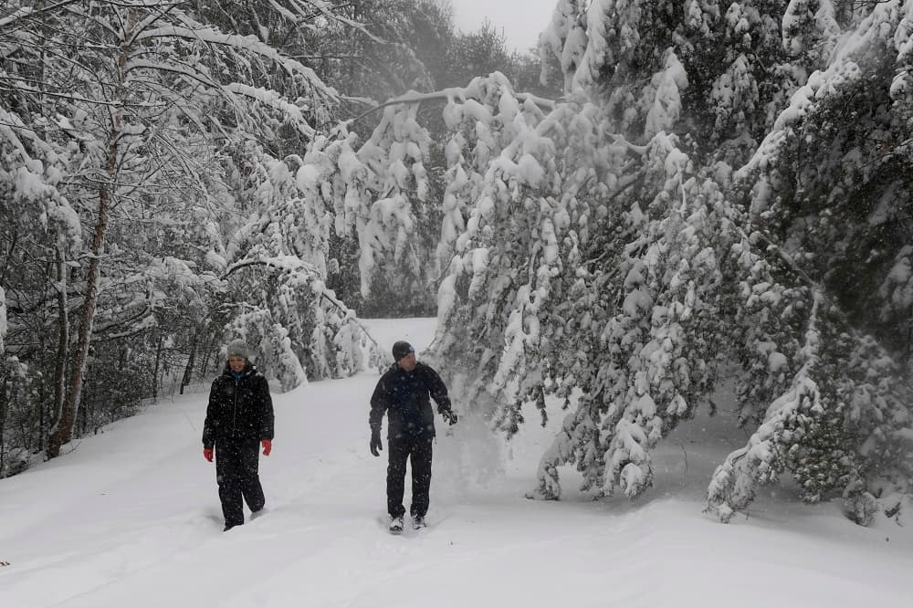 En algunas zonas del sureste, especialmente en las Carolinas, han cadido fuertes cantidades de nieve, de hasta 20 pulgadas (50 cm). El domingo en la tarde había en el sureste del país más de 500,000 personas sin servicio eléctrico.