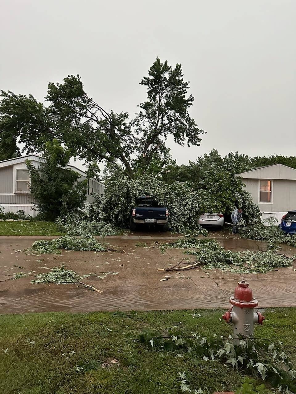 Es recomendable que, quienes puedan hacerlo, posterguen las salidas, pues también 
<b>en las calles del centro de Dallas hay ramas y otros objetos peligrosos</b>, como cables del tendido eléctrico o letreros de señalización.