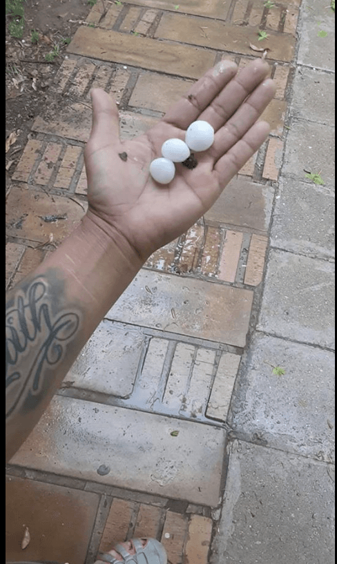 A través de nuestras redes sociales compartieron sus fotos con Noticias 23.