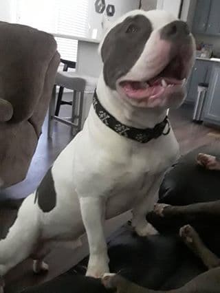 Bory es de Silvi Alonzo.