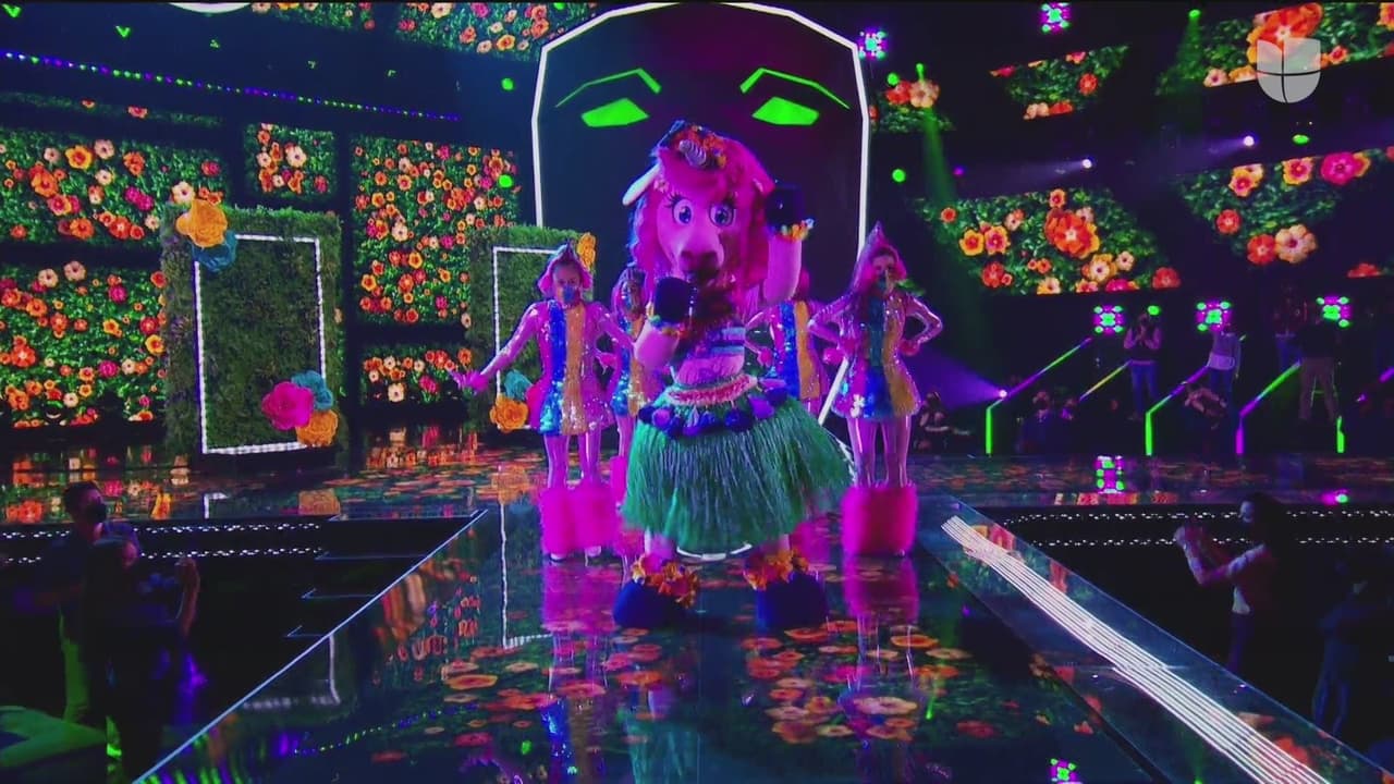 Los 'investigadores' señalaron que podría ser Karol Sevilla, Cassandra Sánchez Navarro, Frida Sofía, Anahí y Violeta Isfel.