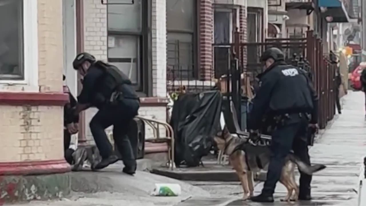 Autoridades desmantela tienda ilegal de marihuana en El Bronx