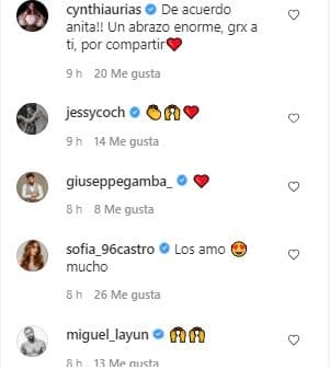 El post de la esposa del actor tuvo reacciones. Famosos como Cynthia Urias, Jessica Coch, Giuseppe Gamba y Miguel Layún celebraron sus palabras. 
<b><a href="https://www.univision.com/famosos/sofia-castro-apoya-a-su-compadre-pablo-lyle-por-sobre-todas-las-cosas-en-la-dificil-situacion-que-enfrenta-fotos">Sofía Castro comentó: "Los amo mucho"</a></b>.