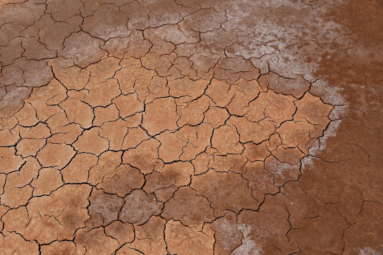 Pero, sin duda, las lluvias son un motivo de optimismo para las comunidades que vivían del lago Poopó y que ven más cerca poder volver un día a pescar en sus aguas.