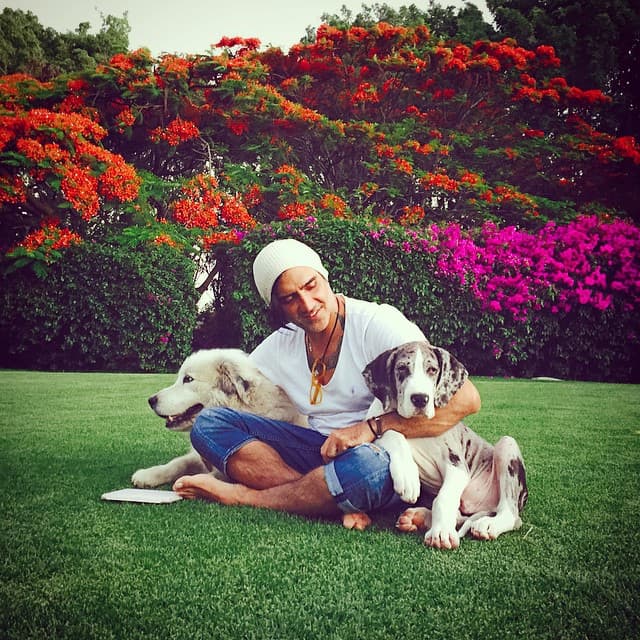 La "manada" del cantante está conformada por peludos de cuatro patas de talla grande.