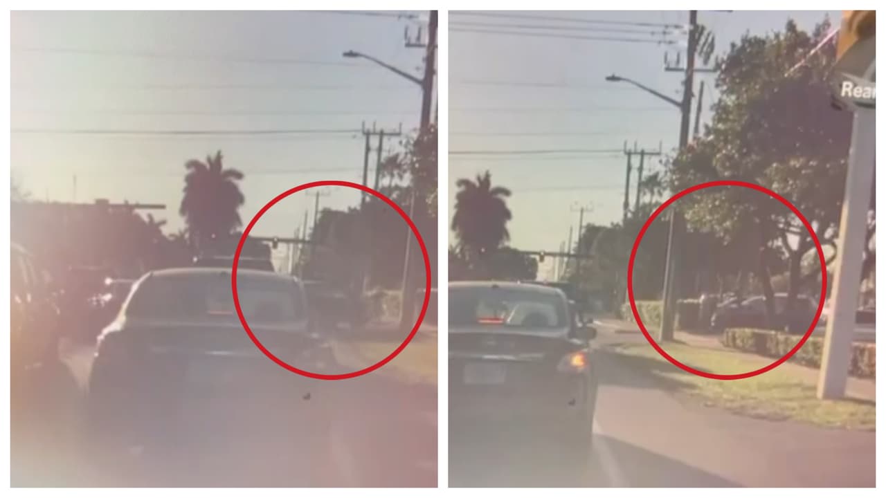 Hospitalizan a policía de Lauderhill tras ser atropellado aparentemente de forma intencional