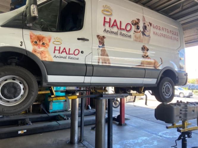 35 cachorros tendrán que esperar más tiempo en México para poder ser rescatados debido al vandalismo que sufrió la furgoneta de HALO Animal Rescue en Phoenix.