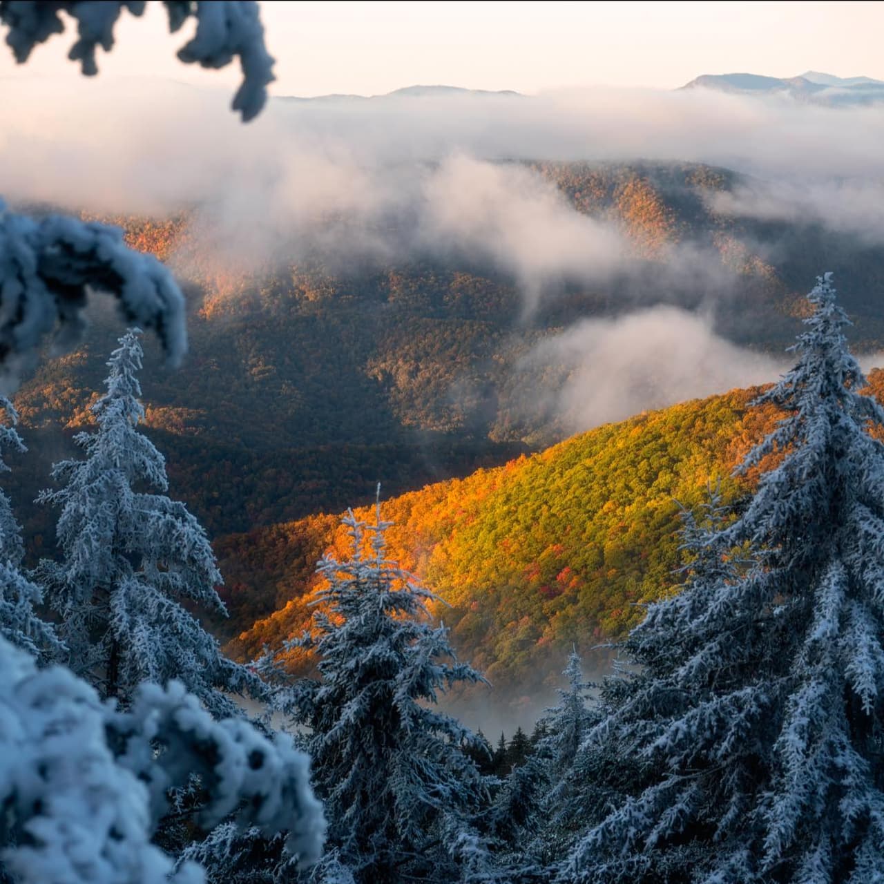 Encuentra más destinos e información local, 
<a href="https://www.univision.com/local/atlanta-wuvg/localisimo"><b>aquí</b></a>.