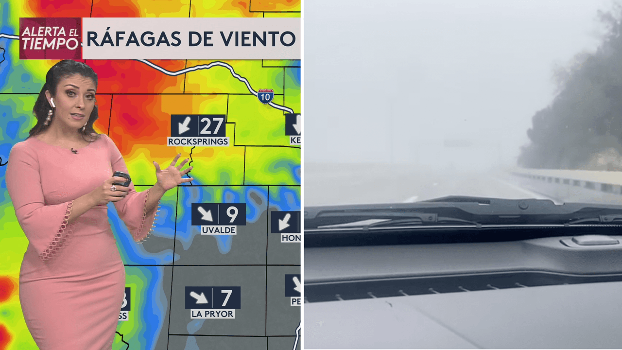 Ten mucho cuidado con la neblina: este Thanksgiving cruza un frente frío