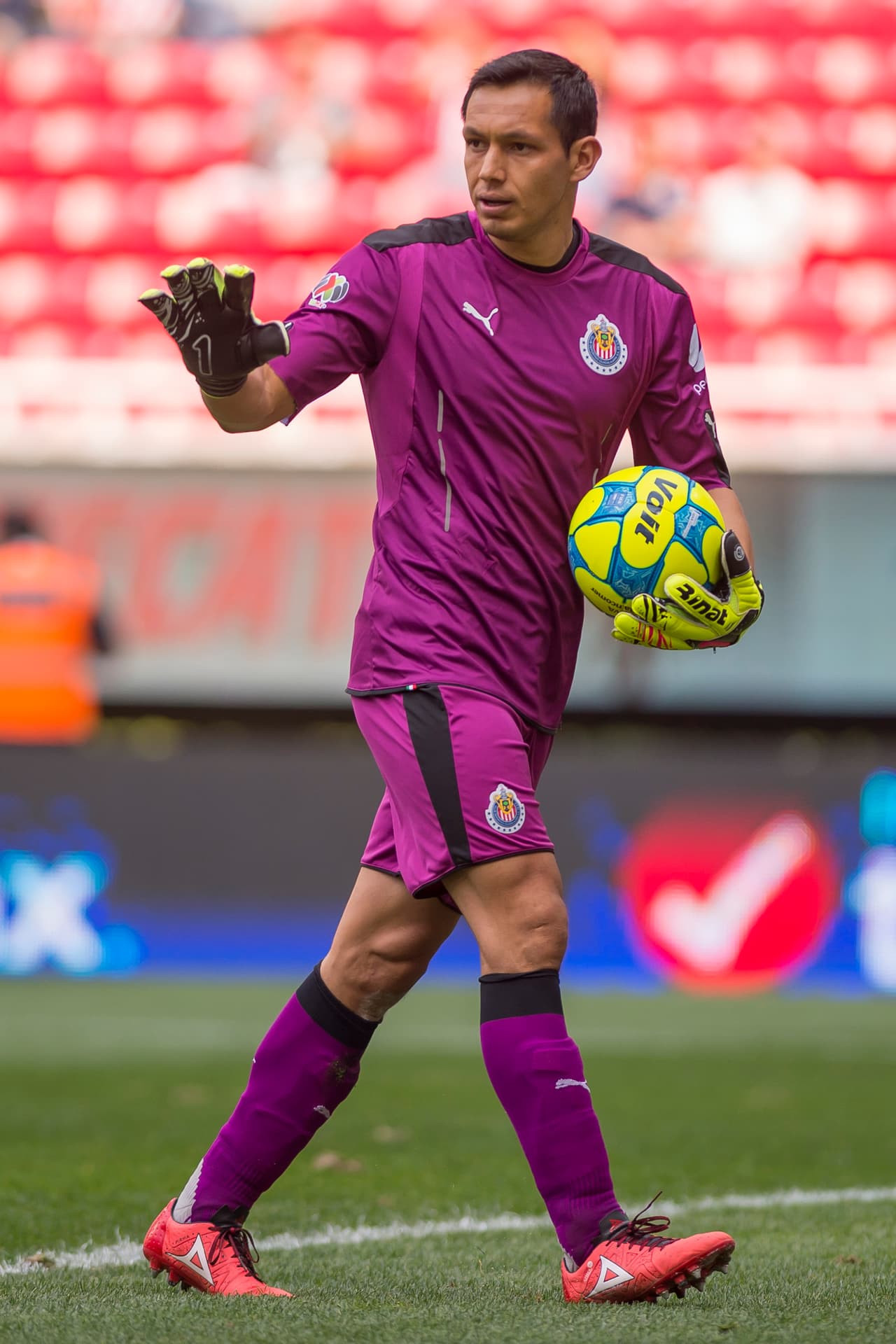 ¿A qué salió Rodolfo Cota en el tiro de esquina que generó 
<a href="http://www.univision.com/deportes/futbol/liga-mx/rodolfo-cota-salio-a-cachar-guajolotes-y-furch-le-clavo-el-1-0-video#rel" target="_blank">el primer gol de Julio César Furch con la camiseta de Santos</a>? Es lo malo de la posición de guardameta: que un solo error es suficiente para subir al marcador.