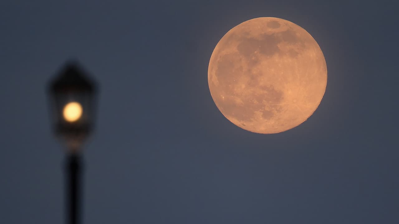 Habrá Superluna rosa esta noche y esto debes saber para observarla en Puerto Rico