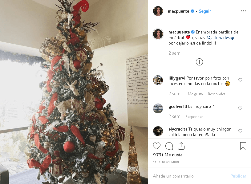 La hermana de Anahí lo presumió en
<b><a href="https://www.instagram.com/p/B4v5KnBJKzj/" target="_blank">Instagram</a></b> desde el 11 de noviembre. "
<b>Enamorada perdida de mi árbol"</b>, escribió Marichelo Puente junto a esta foto.