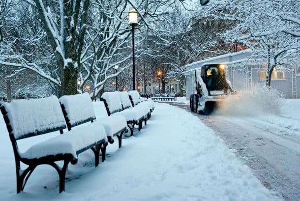 La nueva tormenta de nieve se precipita justo cuando comienzan a florear los árboles y las aves a trinar.
