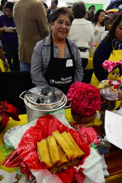 Festival Univision 2014