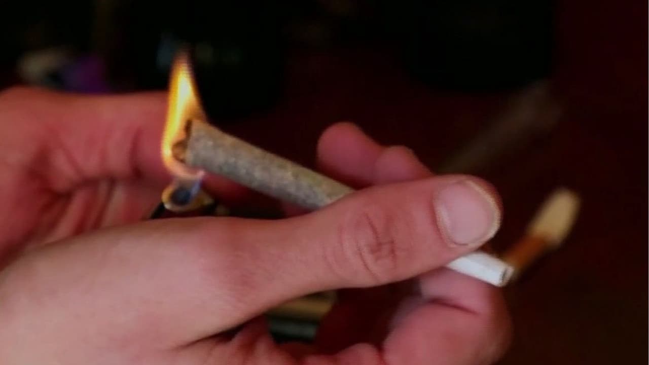 ¿El consumo de cannabis afecta el cerebro de los adultos? Psicóloga clínica explica
