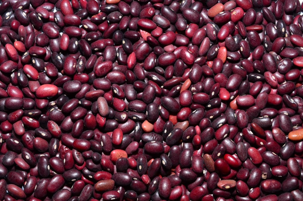 <b>Granos y productos agrícolas.</b> Los nuevos aranceles impuestos por Donald Trump al acero europeo serán de 25% en los precios del acero y 10% al del aluminio.