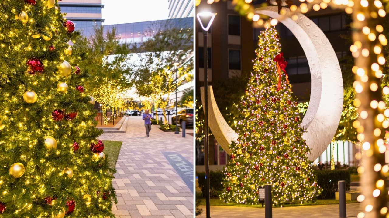 <h3 class="cms-H3-H3">CityLine (Richardson)</h3>
<br>🌟 Más de medio millón de luces iluminan CityLine, con luces móviles con formas y un impresionante árbol de Navidad de 18 pies.
<br>📆 
<b>Fecha: </b>Hasta el 4 de enero.
<br>⏰ 
<b>Horario: </b>Abierto diariamente.
<br>📍 
<b>Ubicación: </b>
<a href="https://maps.app.goo.gl/HMGCXNuhQubhTrMK6" target="_blank">CityLine Plaza, 1150 State St., Richardson</a>
<br>
<a href="https://www.citylinedfw.com/events/cityline-lights-2023">citylinedfw.com/events/cityline-lights-2023</a>