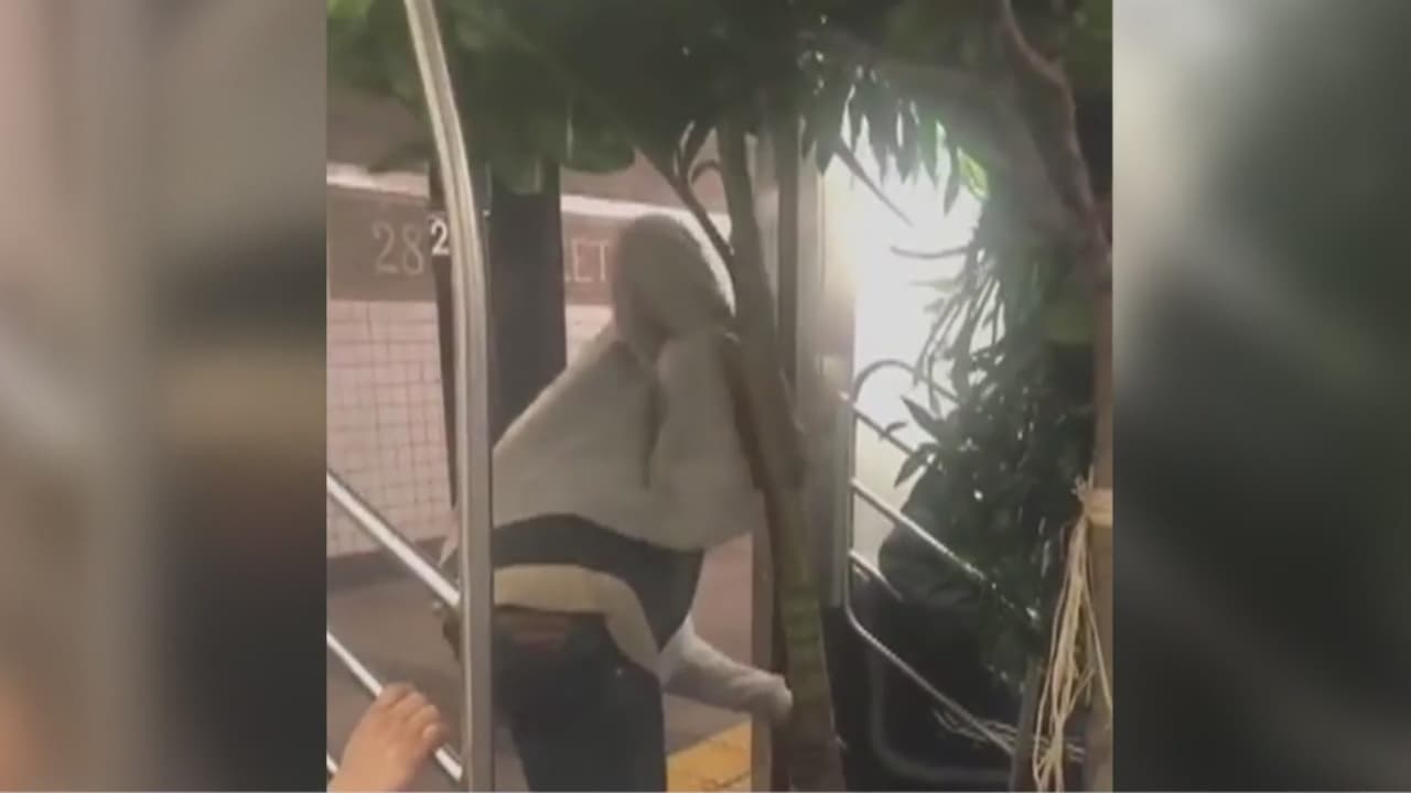 Desde ratones hasta plantas y motocicletas: las 'locuras' que se ven a diario en el subway de Nueva York