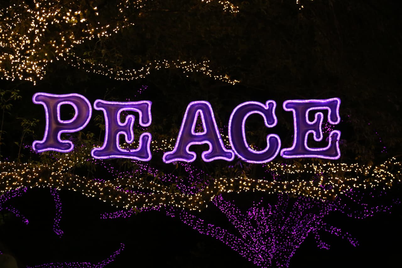 Coloridos mensajes de paz y amor, también hacen parte del recorrido.